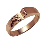 Gold ring Nr: 133