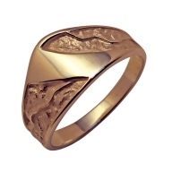 Gold ring Nr: 145